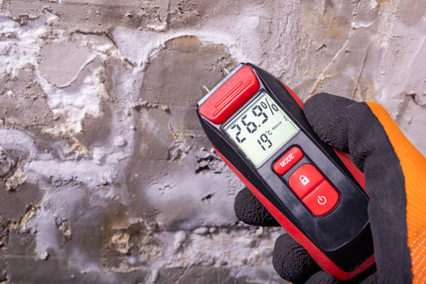 Office Mold Removal Services in Dixon, KY