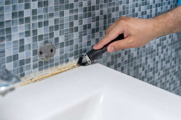  Dixon, KY Mold Removal Pros