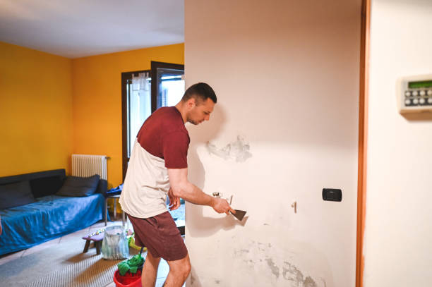 Best Affordable Mold Removal  in Dixon, KY